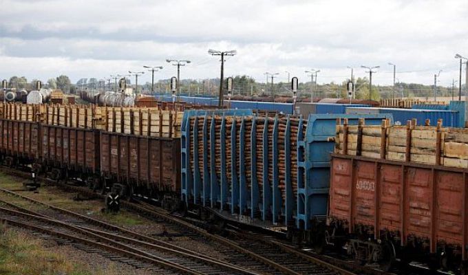 PKP Cargo partnerem liderów przemysłu drzewnego